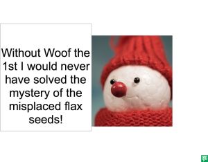 IMOGENE TOE FLAX SEEDS