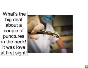 MAE PULLHAM PUNCTURES