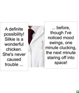 MR. JONES-SMITH SILKIE