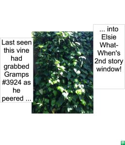 MYSTERY VINE GRABBED GRAMPS #3924