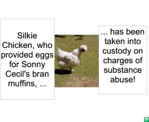 SILKIE CHICKEN SUBSTANCE ABUSE
