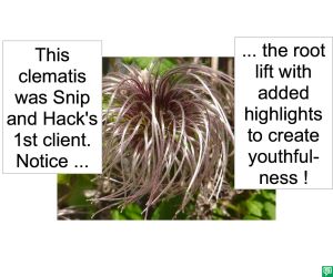 SNIP AND HACK'S 1ST CLIENT