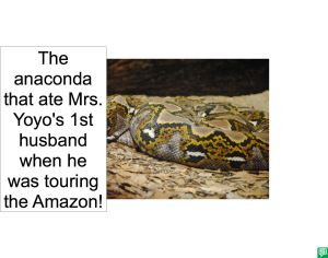 ANACONDA 1ST HUSBAND
