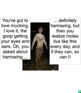 DAVER CAVER HARROWING