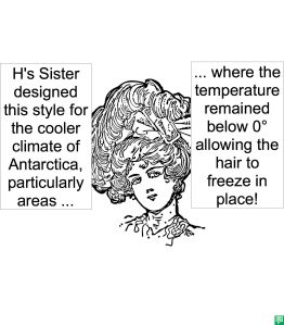 H'S SISTER'S HAIRDO ANTARCTICA