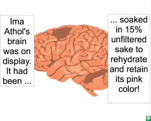 IMA ATHOL'S BRAIN SAKE