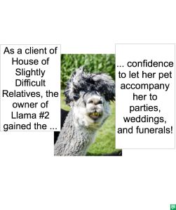 LLAMA #2 ACCOMPANY