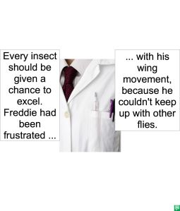 MR. JONES-SMITH FLY MOVEMENT