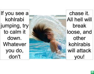 ATHOL HAIR STYLIST AND JUMPING SPECIALIST