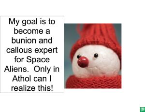 IMOGENE TOE BUNION AND CALLOUS EXPERT