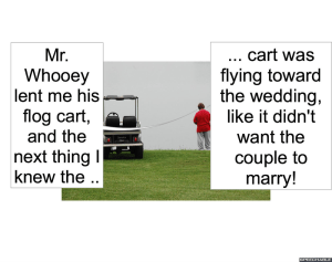 PASSION ATA FLOG CART