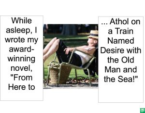 SLEEPING NOVELIST AWARD-WINNING NOVEL