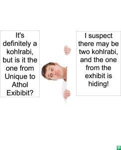 UNIDENTIFIABLE OBJECTS SPECIALIST KOHLRABI