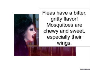 VAMPIRE MANNERS TEACHER