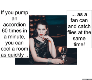 ACCORDIONIST CATCH FLIES