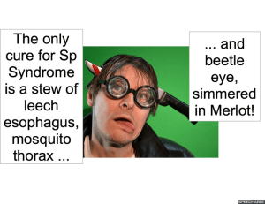 ANIMAL HAIR STYLIST AND PART TIME PHYSICIAN