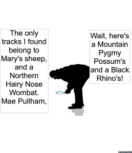 ARTHUR GOTCHA ANIMAL TRACKS