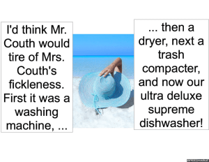 DISHWASHER MANUFACTURER MR. COUTH