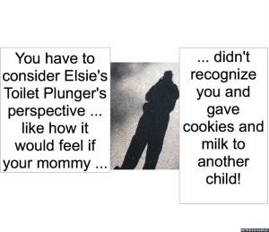 DR. LONG TOILET PLUNGER