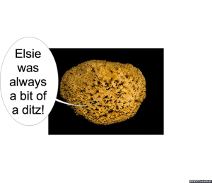 ELSIE WHAT-WHEN'S MOTHER ELSIE A DITZ