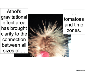 GIANT TOMATO ASSOCIATION REP TIME ZONES