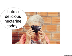 MRS. LONG DELCIOOUS NECTARINE