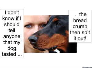 WOMAN & DOG TASTED BREAD CRUMB