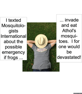 ATHOL MOSQUITOLOGIST