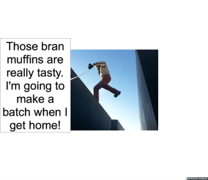 WILL CATCHEM BRAN MUFFINS