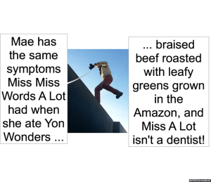 WILL CATCHEM MISS MISS A LOT