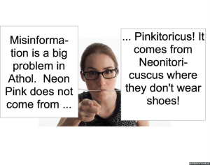 ATHOL FRIENDSHIP COUNSELOR NEON PINK