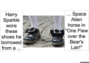 HARRY SPARKLE AND SPACE ALIEN HORSE'S SHOES