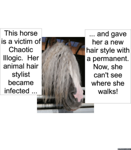 HORSE A VICTIM OF HAIR STYLIST