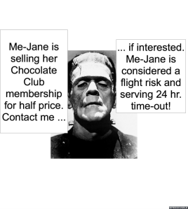 MANAGER OF HOUSE OF SLIGHTLY DIFFICULT RELATIVES ME-JANE TIMEOUT