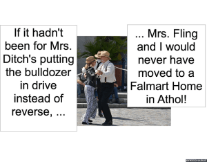 MR. AND MRS. FLING MRS. DITCH AND BULLDOZER