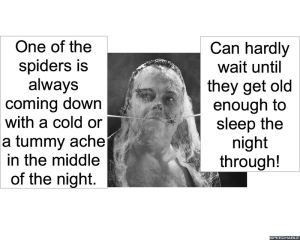 director-of-hsdr-spiders-sick