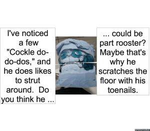 mae-pullham-muffin-man-rooster