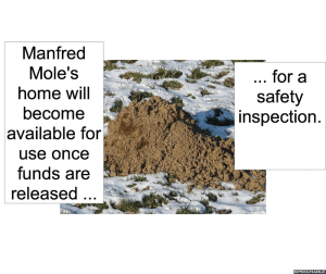 manfred-moles-home-inspection