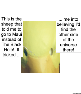 muffin-man-sheep-maui