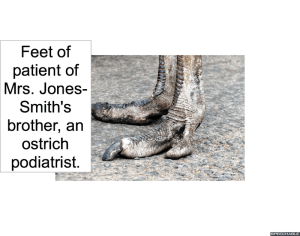 ostrich-feet-podiatrist