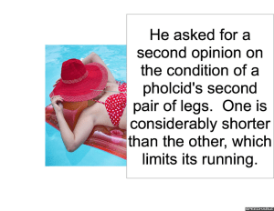 arachnologist-2nd-opinion