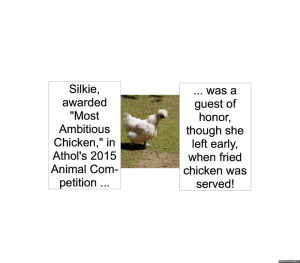 silkie-left-early