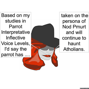 chocolatologis-parrot