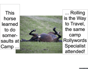 horse-somersaulting-camp