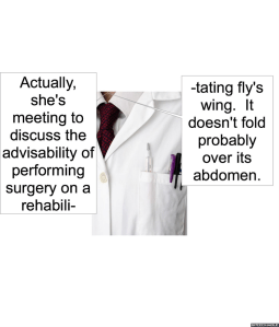 mr-jones-smith-flys-wing