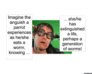 animal-hair-stylist-parrot-anguish