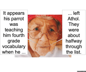 anna-lous-very-picky-grandma-vocabulary