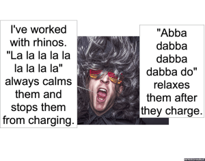 music-therapist-rhinos