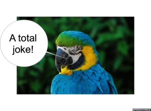 nod-pmurts-parrot-a-total-joke