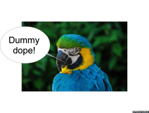 nod-pmurts-parrot-dummy-dope